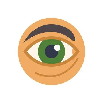 Human eye looking observing watching vision eyeball eyebrow icon Stock Illustration