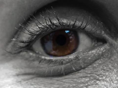 Human eye macro details selective color vision Stock Photos