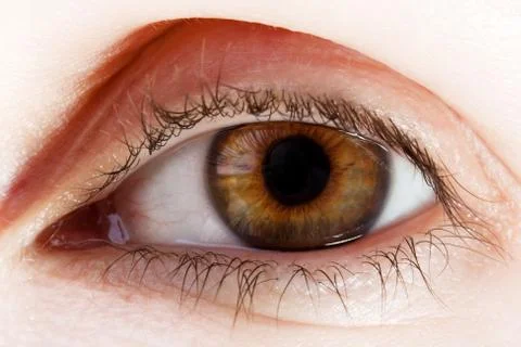 Human eye macro Stock Photos