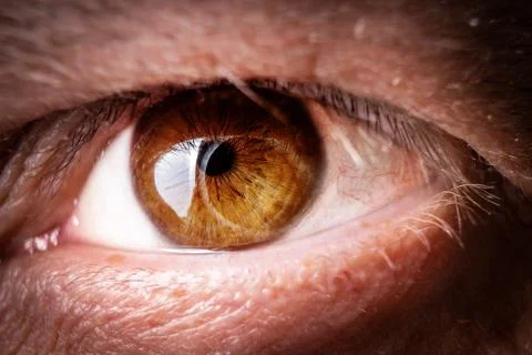 Human eye macro Stock Photos