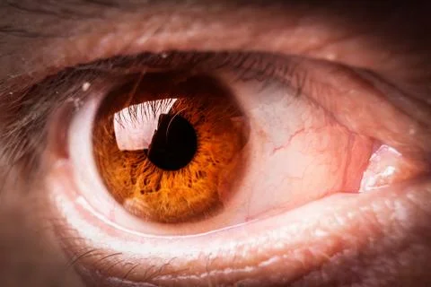 Human eye macro Foto stock