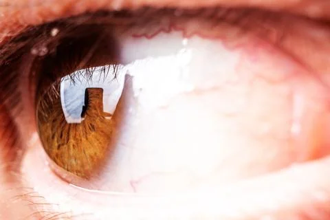 Human eye macro Stock Photos