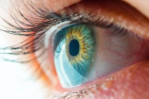 Human Eye Macro View Stock Photos