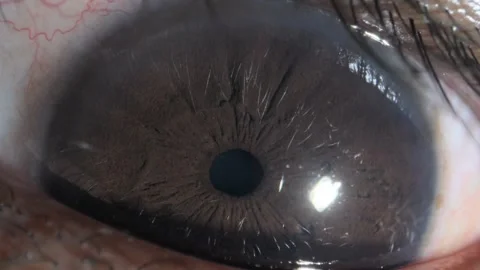 Human eye open and closing extreme close up view Vidéo 278210735