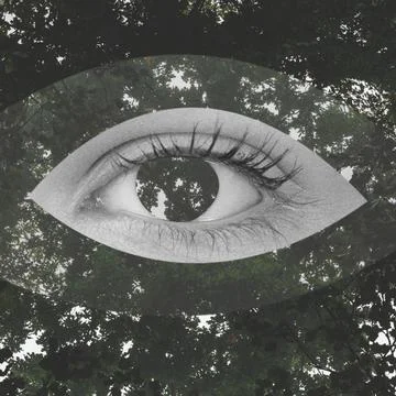 Human eye perceiving nature through surreal double exposure Stock Illustration