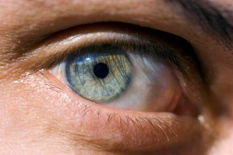 Human eye Stock Photos