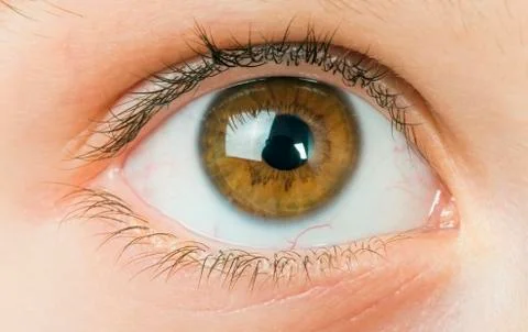 Human eye Stock Photos