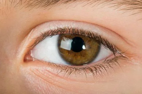 Human eye Stock Photos