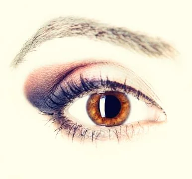 Human Eye Foto stock