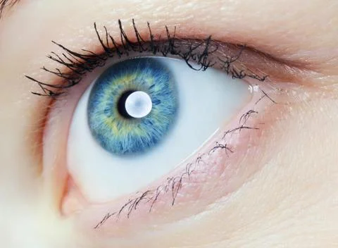 Human Eye Stock Photos