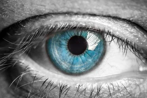 Human eye. Stock Photos