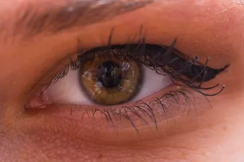 Human eye Stock Photos