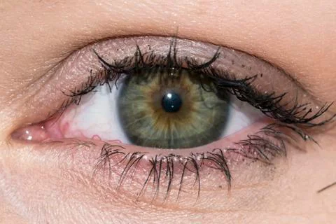 Human eye Stock Photos