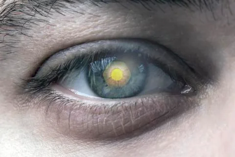 Human eye Stock Photos