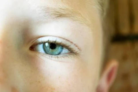 Human eye Foto stock