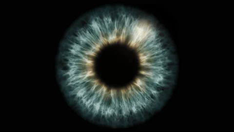Human Eye - Pupil Dilating 4K Stock-Footage 130758412