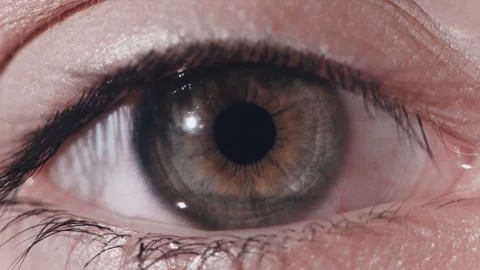 Human Eye Pupil Reacting to Light Flash Macro Close Up Vídeo Stock 334563000
