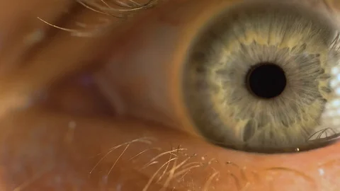Human eye retina iris macro close up 스톡 동영상 116084527