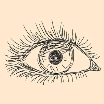 Human eye sketching Stock Illustration