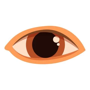 Human eye staring, observing, watching, looking, gazing with brown iris Stock Illustration