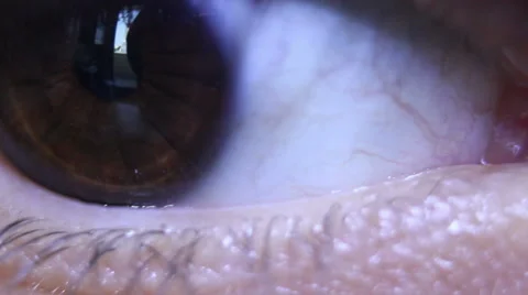 Human eye supercloseup Stock Footage 54154225