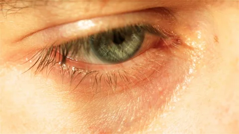 Human eye with thin red capillaries looks in front 스톡 동영상 121681691