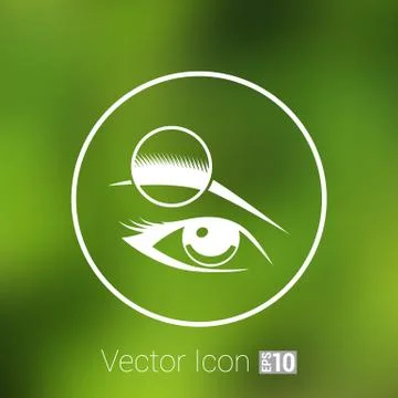 Human eye vector isolated eyebrow female makeup beauty eyesight Stock Illustration