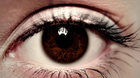 The human eye.animated video Stock Footage 80783447