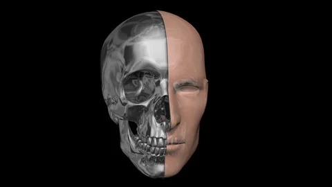 Human face half skin, half metal, robotic head. Rotating 3d animation head,robot Stock Footage 96550821