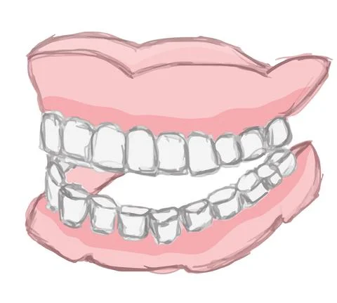 Human false teeth Stock Illustration