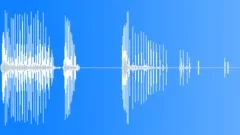 HUMAN, FARTSound Effect