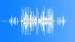 HUMAN, FARTSound Effect