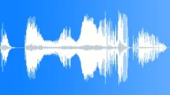 HUMAN, FARTSound Effect