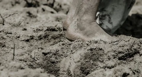 Human feet are on the ground and wet clay. Stock Footage 68635616
