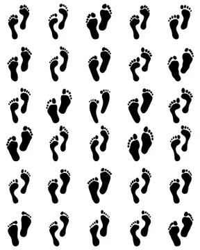 Human feet Stock Illustration