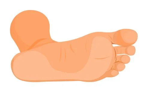 Human feet Stock Illustration
