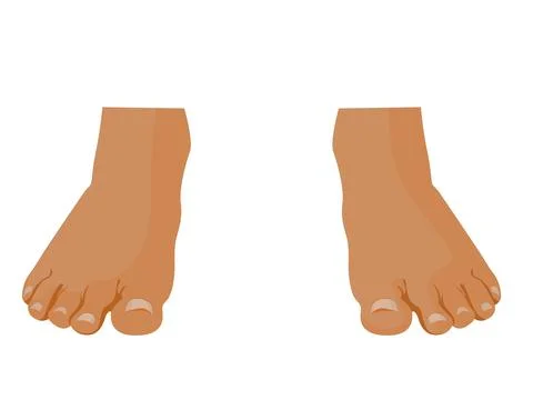 Human Feet Stock Illustration