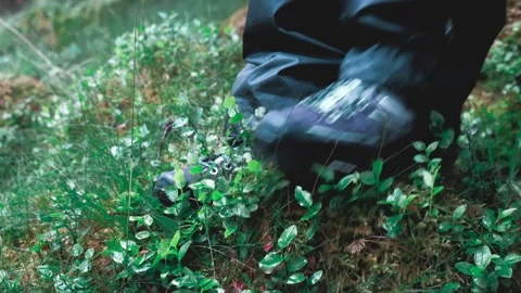 A human feet step of moss in slow motion. Stock Footage 197339296