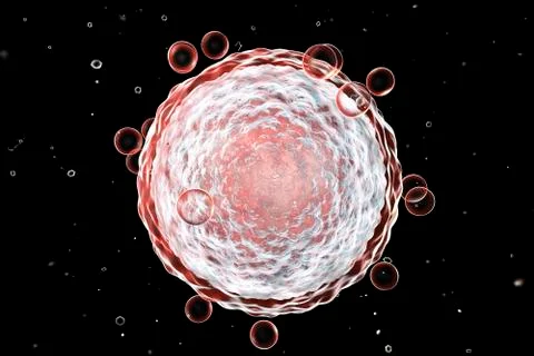 Human female egg cell Illustrazione stock