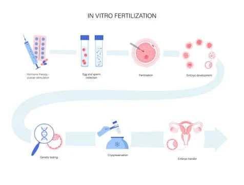 Human fertility concept Stock Illustration