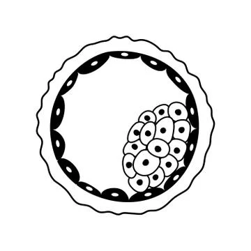 Human fertility concept Illustrazione stock