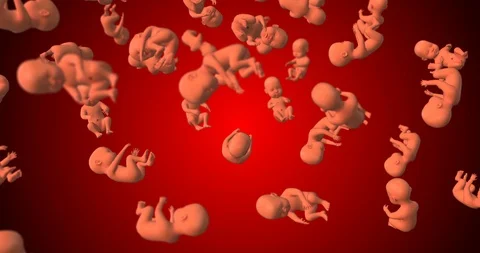 Human fetus falling loop Video stock 91857964