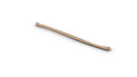 Human Fibula bone isolated on white background イラスト素材