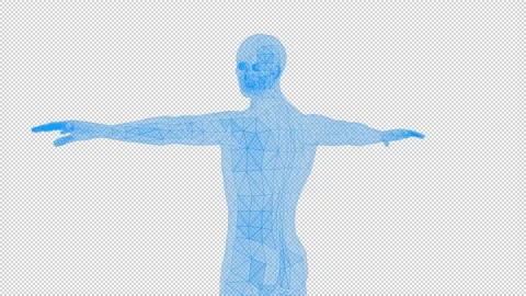 Human Figure Stock Footage 161382454