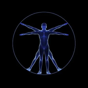 A human figure like Leonard Da Vinci s Virtual man in anatomy concept isolate Stock Illustration