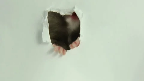 Human finger breaking through white paper revealing dark hole concept Stock Footage 311012164