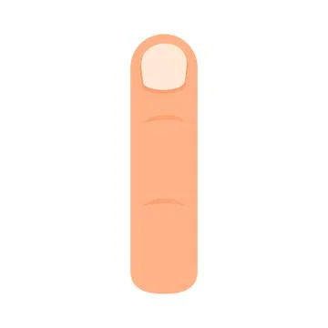 Human finger vector icon illustration symbol thumb. Person human finger isola Stock Illustration