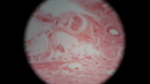 Human Fingerprint Tissue 2 Stock Footage 6532016