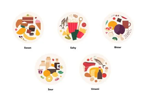 Human five taste infographic. Vector flat modern illustration. Stock Illustration