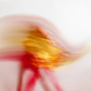 Human flame Stock Photos
